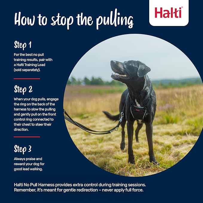 Halti No Pull Harness - Stop Your Dog Pulling on The Leash. Adjustable, Lightweight and Easy to Use. Reflective Dog Training Harness for Small Dogs (Size S, Cobalt Blue)