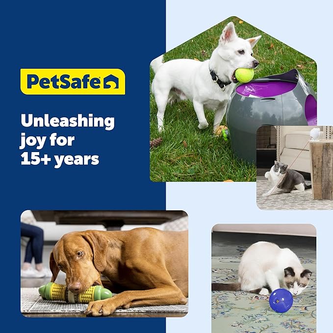 PetSafe Busy Buddy Rawhide Treat Rings - Quality Dog Treats - Training Reward - Original Rawhide & Peanut Butter Flavors - Size A - 24 Rings