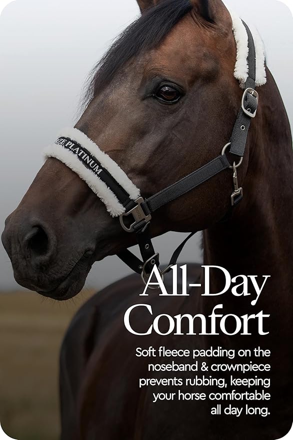 HORZE Howard Soft Fleece Padded Adjustable Polyester Horse Halter - Black - Horse