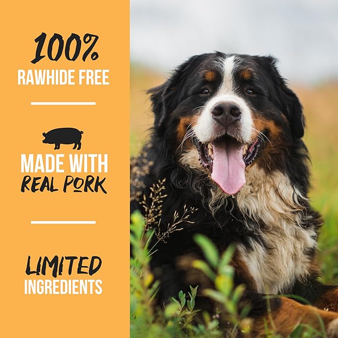 Scott Pet Grillerz Real Pig Ears, 12 Count, Single Ingredient, All Natural Pig Ears for Dogs, Dog Chew for Healthy Teeth, High Protein, Easily Digestible, for Adult Life Stages