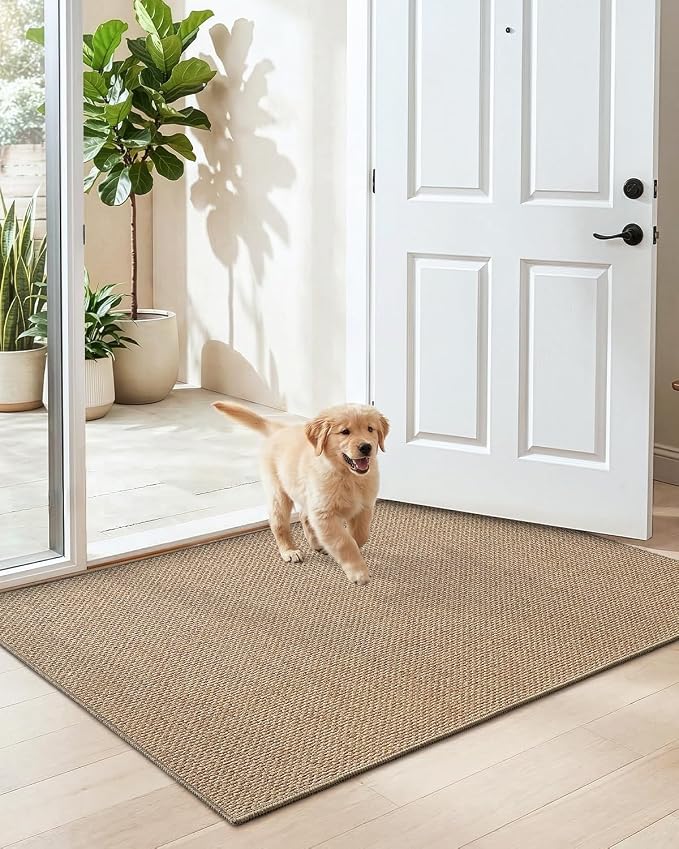 DEXI Ultra Thin Door Mat Indoor Entrance 32x48, Non Slip Rubber Backed Entryway