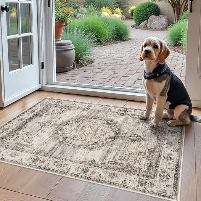 Washable Area Rugs 2x3 Entryway: Soft Ultra Thin Low Pile Mat Machine Washable