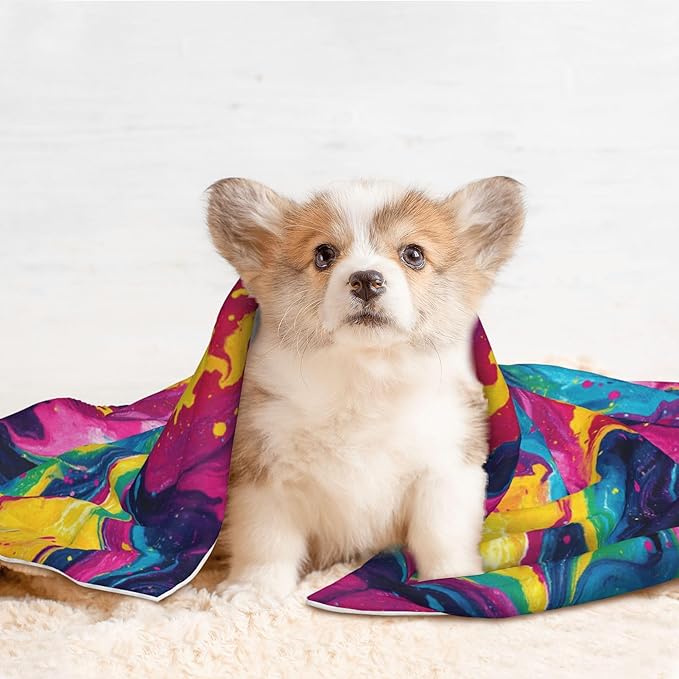 Waterproof Dog Blanket Soft Pet Blanket for Puppy Cat, Fleece Cat Throw Blankets for Furniture Bed Couch Sofa Reversible - Abstract Colorful Tie Dye 1