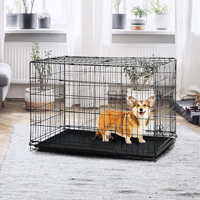 Pet Dog Crate, 36 Inches Metal Wire Large Dog Cage Double Door Folding Dog Kennel with Divider Panel, Leak-Proof Plastic Pan, Indoor Outdoor Pet Crates for Small Medium Breed Dogs Animals