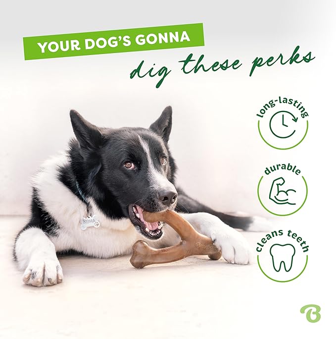Benebone Wishbone Durable Dog Chew Toy for Aggressive Chewers, Real Chicken, Made in USA, Small, for Any breed
