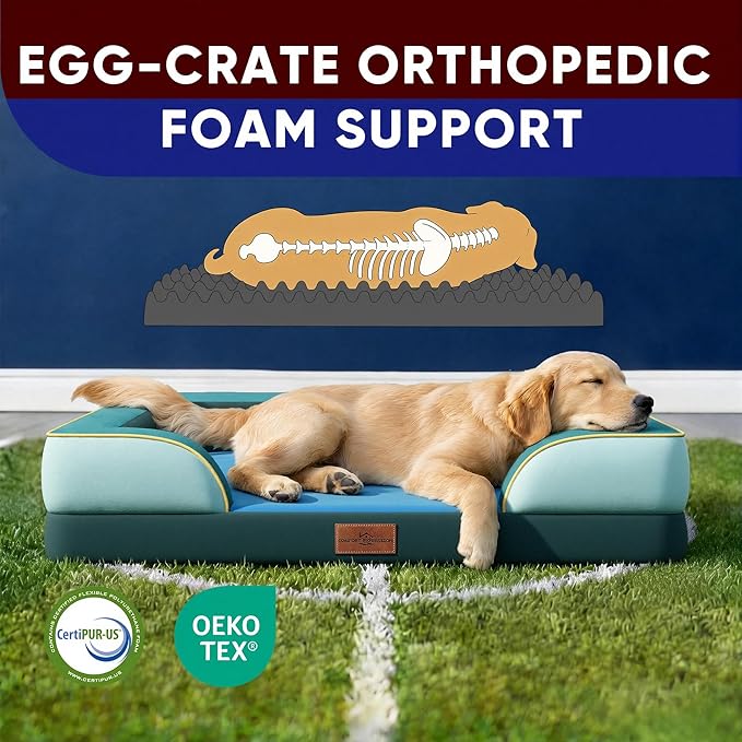 Comfort Expression Orthopedic Dog Bed for Large Dogs 36x27 Inch, Waterproof Egg Crate Foam Large Pet Bed with Removable Bolsters, Dog Couch with Washable Cover & Non-Slip Bottom, Seattle
