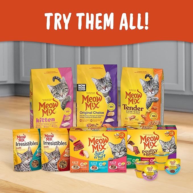 Meow Mix Tender Centers Basted Bites Dry Cat Food, Beef & Salmon Flavors, 3 Pound (Pack of 4), Crunchy Outside Meaty Inside
