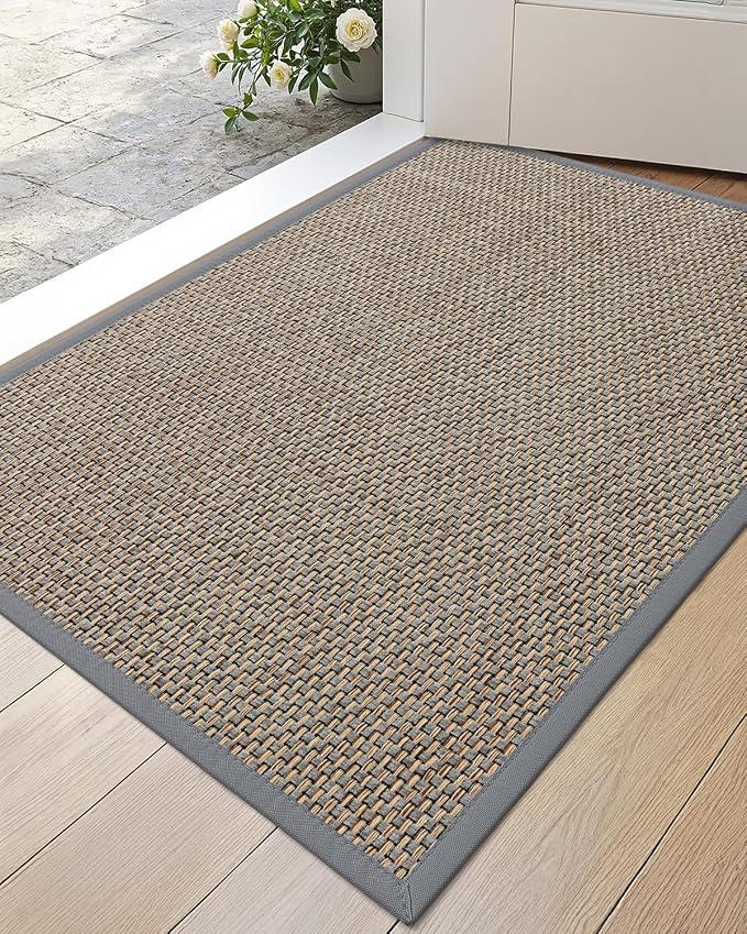 DEXI Ultra Thin Entryway Indoor Door Mat 24x36, Non Slip Rubber Backing Inside