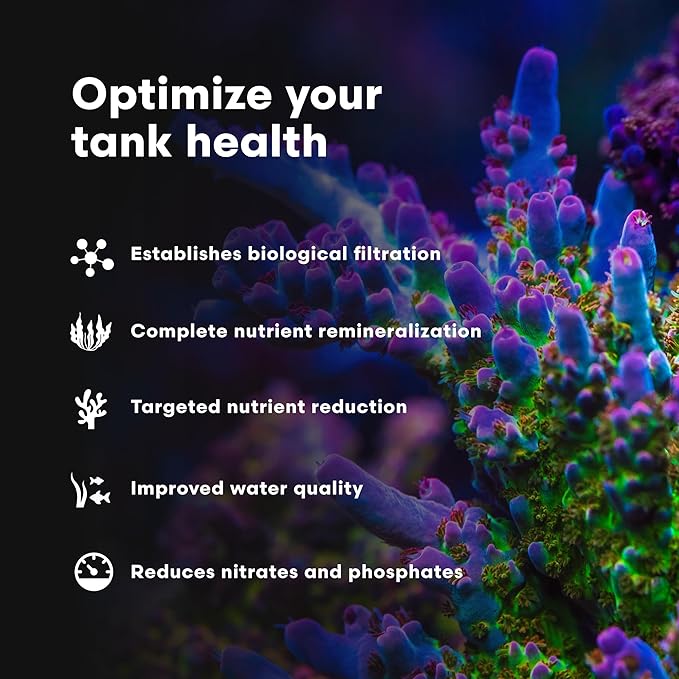Brightwell Aquatics MicroBacter7 Complete Bioculture for Fish Tank or Aquarium - Populates Biological Filter Media for Saltwater and Freshwater Fish - Aquarium Water Treatments, 8.45 fl oz