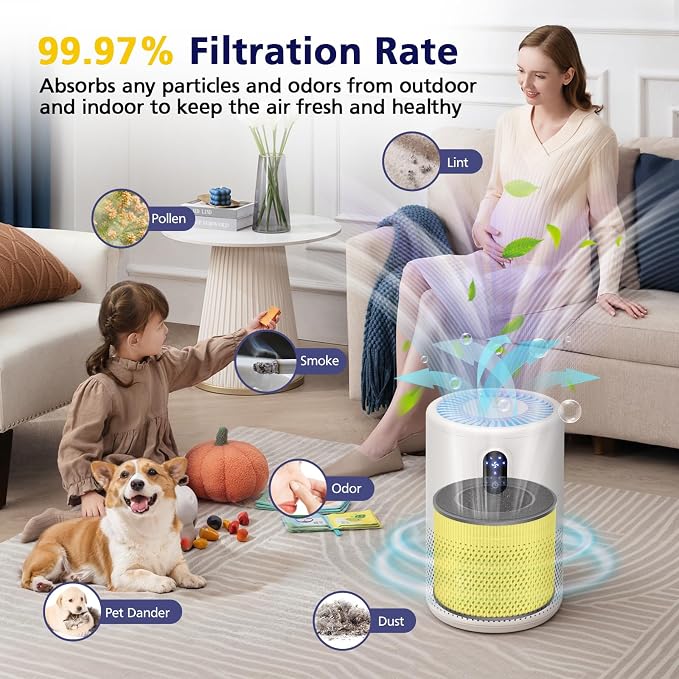 B-D02L/M05/B-D02U H13 Filter Compatible