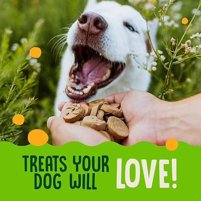 Earthborn Holistic EarthBites Crunchy Grain-Free Dog Treats with Turkey 10 oz