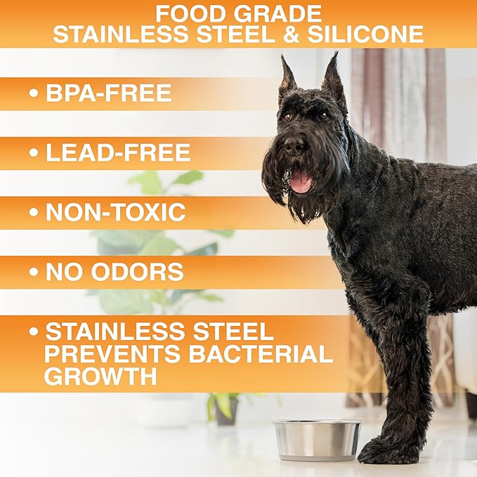 Neater Pet Brands Stainless Steel Dog Bowls with Non-Slip Rubber Bottom – Set of 2, 6 Cup (48 oz), Tan - Heavy Duty Metal Dog Bowl, Dishwasher Safe, Food or Water Bowl, Ideal for Large Dogs