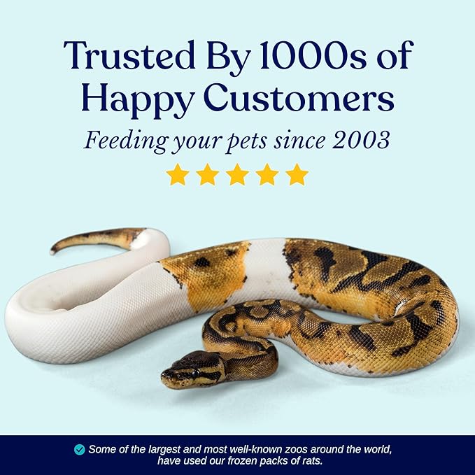 MiceDirect 30 Premium Frozen Rat Medium Feeders Snake Food for Juvenile Ball Pythons Monitors Lizards (30 Count)(6-8 in)(2550 Grams Min)