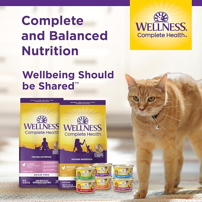 Wellness Complete Health Pate Adult Wet Cat Food, Natural, Protein-Rich, Grain Free, 5.5 Ounce, 24 Pack, (Chicken & Herring)
