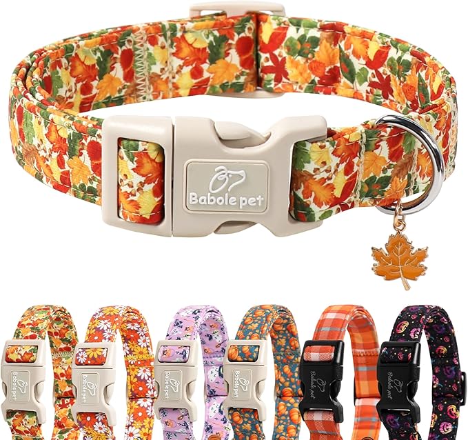 Fall Dog Collar Cute Autumn Leaves Puppy Collar - Light Comfortable Adjustable Pet Collars for Small Medium Large Girl Boy Dogs XS