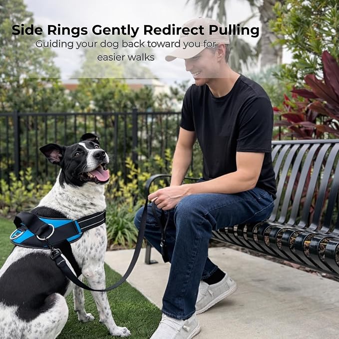 ShawnCo Essential Dog Harness, No-Pull Pet Vest with 3 Leash Clips, No Choke, Reflective, Adjustable and Padded, for Easy Walking and Training for Small, Medium and Large Dogs (Mustang Red, M)