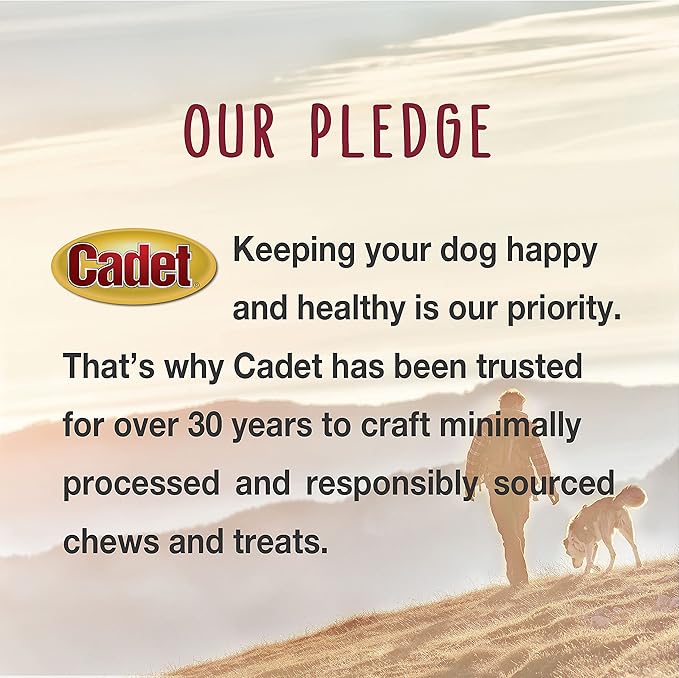 Cadet Gourmet Shish Kabob Dog Chews for Small Dogs, Rawhide Treats with Chicken, Duck and Sweet Potato, Healthy & Natural Pork Hide, 5-Inch Sticks, 24 oz.