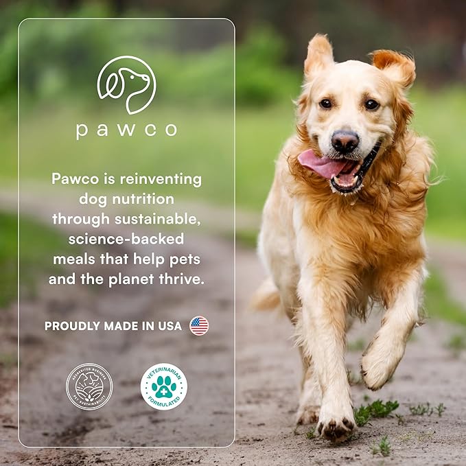 Pawco Magic Bar for Dogs – Supports Energy, Digestion & Overall Wellness – Soft, High-Protein Peanut Butter Bars with Pumpkin & Chicory Root – Pack of 8
