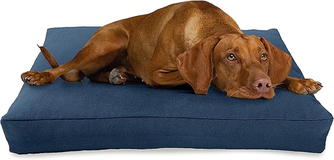Medium - 36 x 24 x 5 - Blueberry Premium Org Hemp Dog Bed - Organic Latex Fill - Removeable Cover