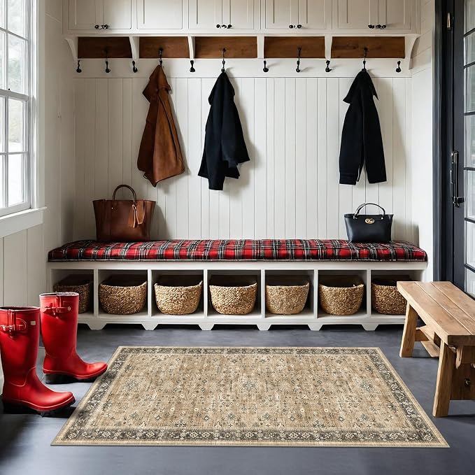 Vintage Boho 2x4 Area Rug for Entryway