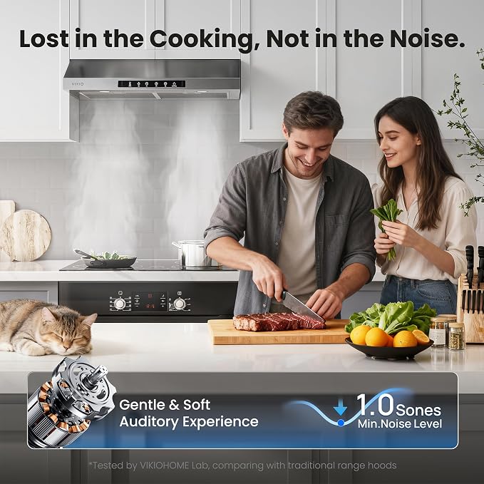30 Inch Under Cabinet Range Hood, 900CFM Fast Venting Ducted, Kitchen Hood