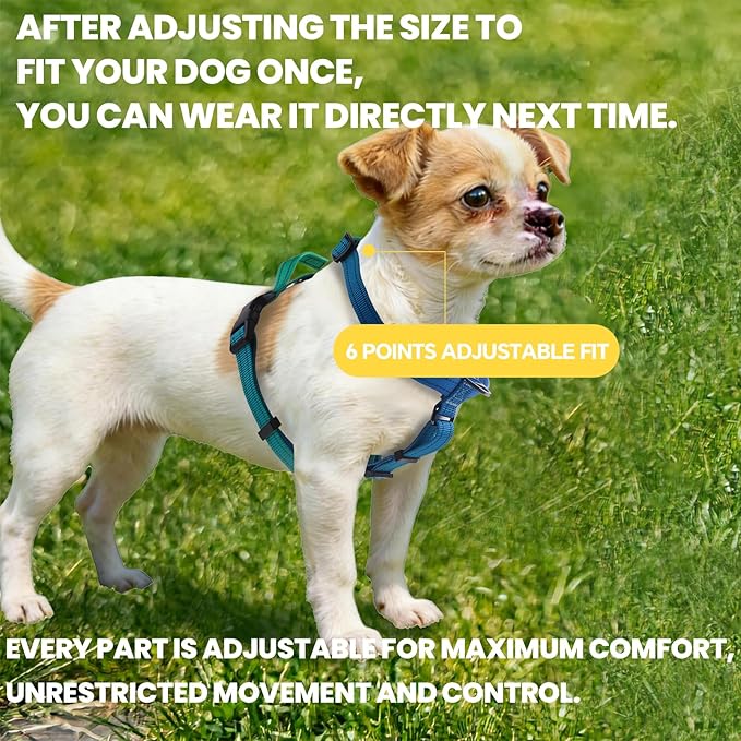 Roses&Poetry Dog Harness Medium Sized Dog, 6 Point Adjustable Fit No Pull Harness with Handle for Control and Easy Walking, Reflective Pet Halter Harnesses（Bluegreen-M）