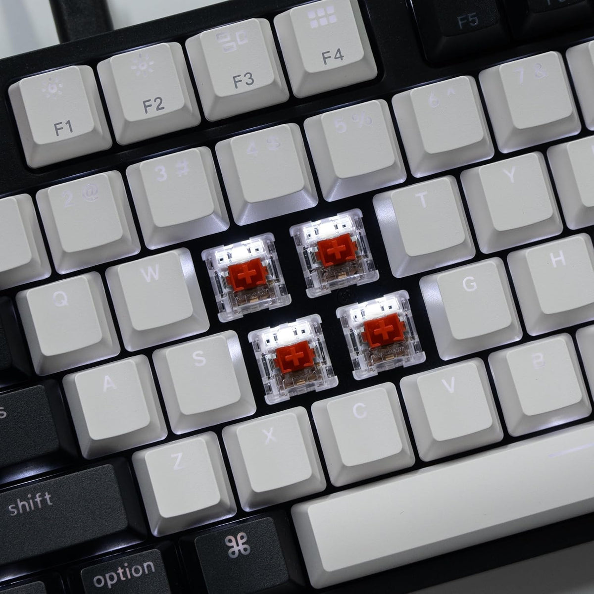 Keychron C2 Wired Full-Size Keyboard, Keychron Red Switch, White Backlight
