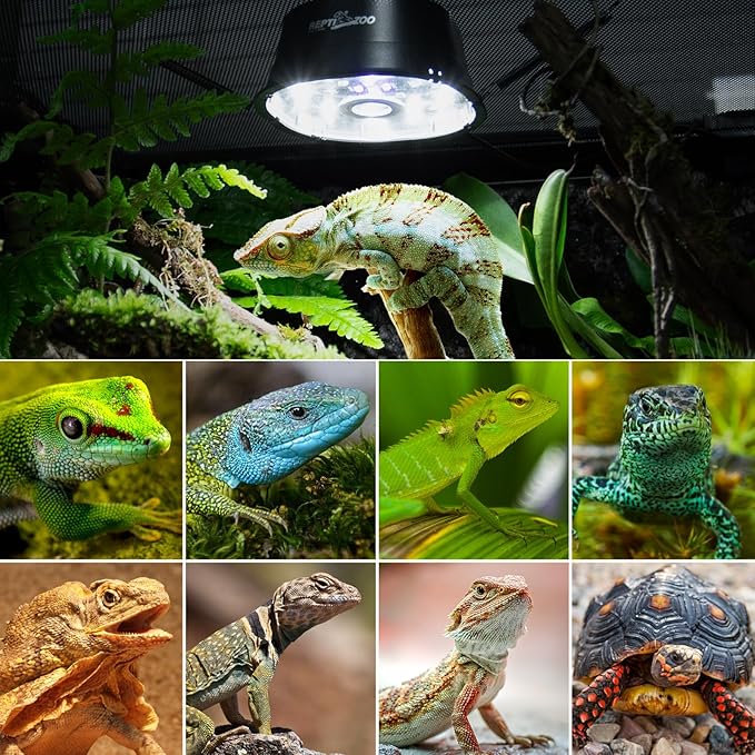 REPTI ZOO UVB Reptile Light with Dimming, LED UVB Light Bulb Fixture for Bearded Dragon Gecko Lizard Turtle Snake, Adjustable Brightness UVA UVB Lamp for Tropical & Desert Reptile