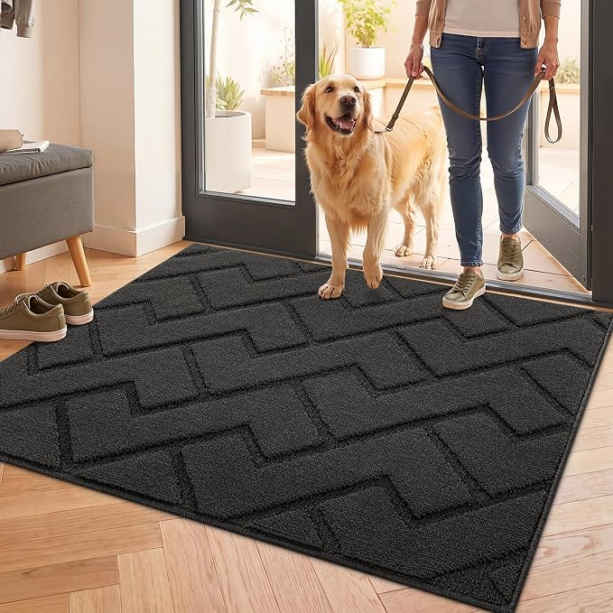 hicorfe Front Door Mat Outside Entrance, Stain and Fade Resistant, Non Slip