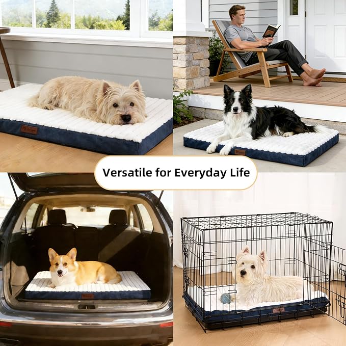 Orthopedic Dog Bed with Firm High-Density Egg Crate Foam Mattress,Soft Short Plush Surface Pet Beds,Machine Washable with Removable Cover & Non-Slip Bottom for Small Breeds(Blue, 23"L x 17"W x 3"H)