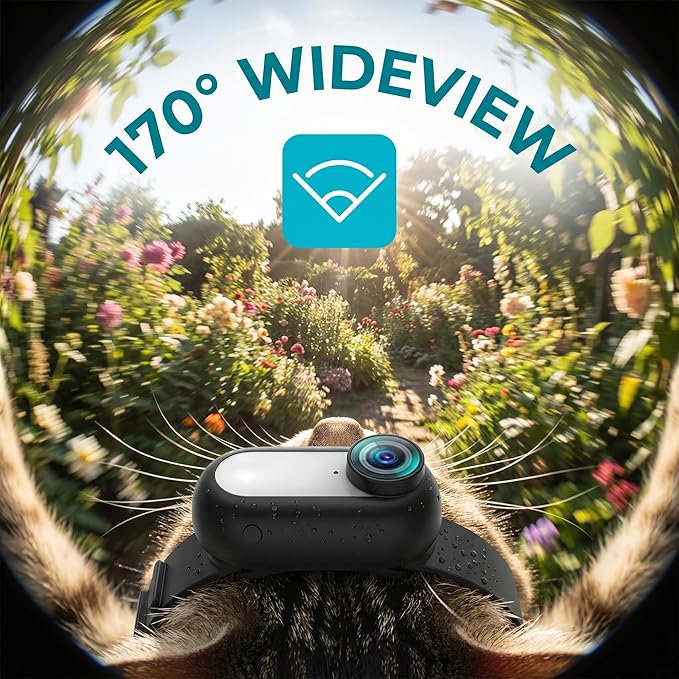 1080P Cat Camera Collar, Wireless Dog Collar Camera, Pet Collar Camera with Video Record, Cat Collar with Camera, Small Action Camera for Pet Supplies, for Cats/Dogs Tracking
