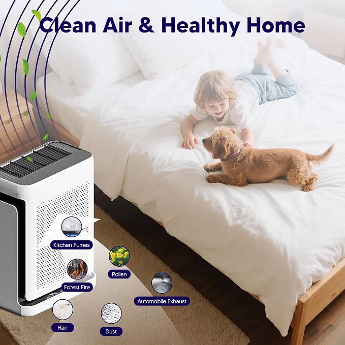 Improvedhand Vital 100S HEPA Replacement Filter Toxin Absorber Compatible