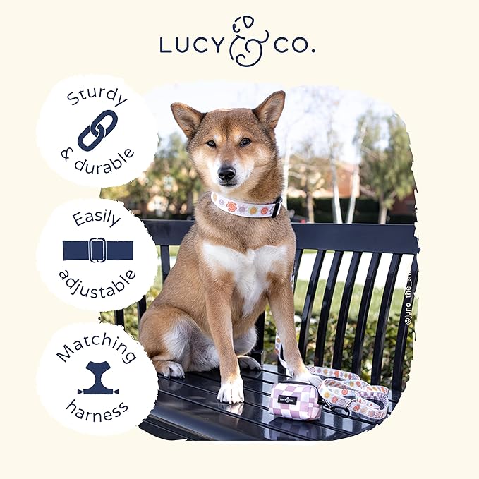 Lucy & Co. Among The Wildflowers Dog Collar - Durable Lightweight Designer Collar for Pets - Adjustable Metal Safety Buckle - Purple Floral - Medium