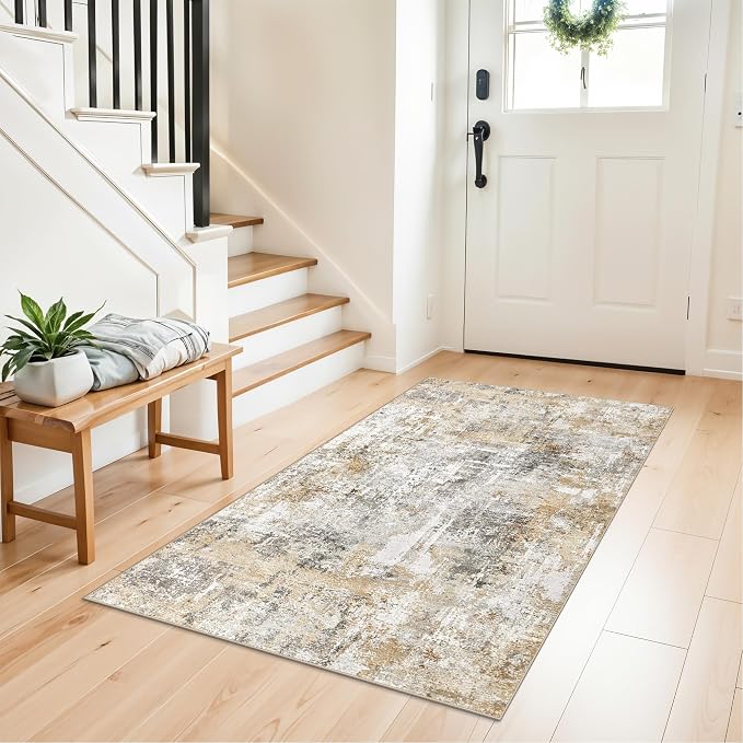 3x4 Modern Entryway Area Rug