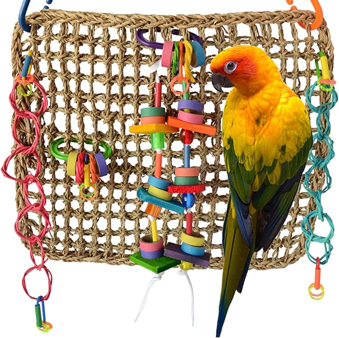 Super Bird Creations SB699 Activity Wall Toy - Ideal for Parrots, Ringnecks, Conures - Perfect for Chewing, Foraging, and Boredom Relief, Safe and Engaging Design - Medium Bird Size, 12" x 14" x 3"