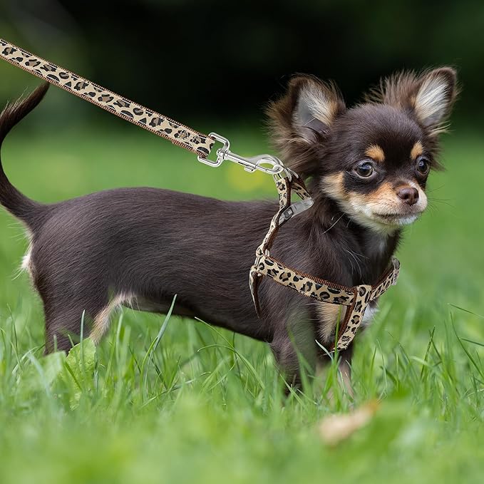 Mile High Life Leopard Dog Harness Collar Leash Set, Adjustable No Pull Dog Halter Harness for Small Breed Dogs, Easy Control for Training Walking (Brown, M Chest 15"-21", Neck 13"-17")