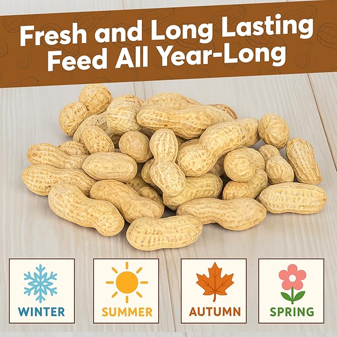 8 LB - Raw Peanuts For Squirrels, Raw In Shell Peanuts For Birds and Wildlife- Squirrel Food, Wild Bird Seed - Grown in The USA