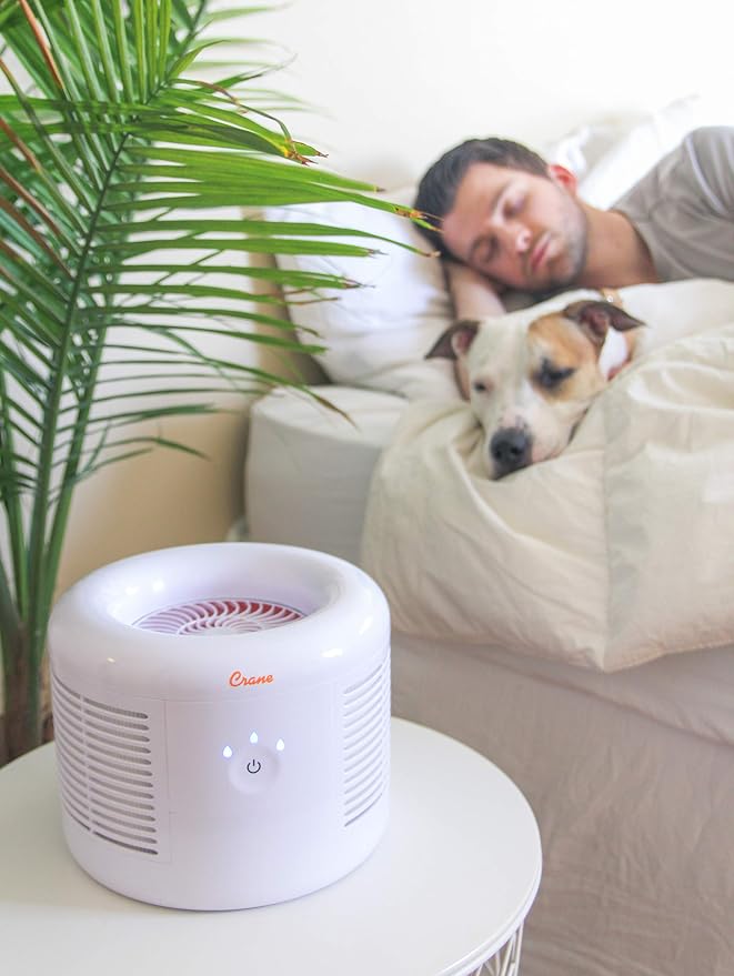 Crane HEPA Air Purifier, Air Purifiers