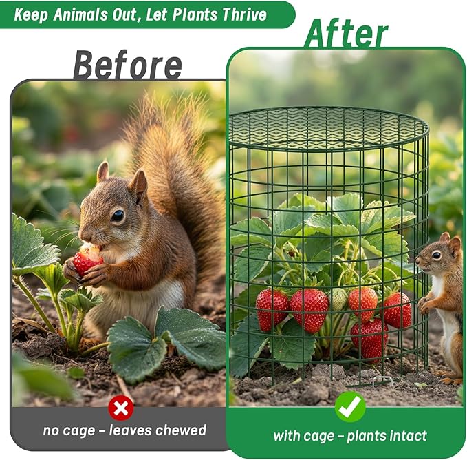 Convivium Plant Protectors from Animals 6 Packs, 13 x 12 in Metal Chicken Wire Cloche Plant Cages for Outdoor Plants, Garden Fencing Animal Barrier with Detachable Dome Lid, Stakes & Zip Ties