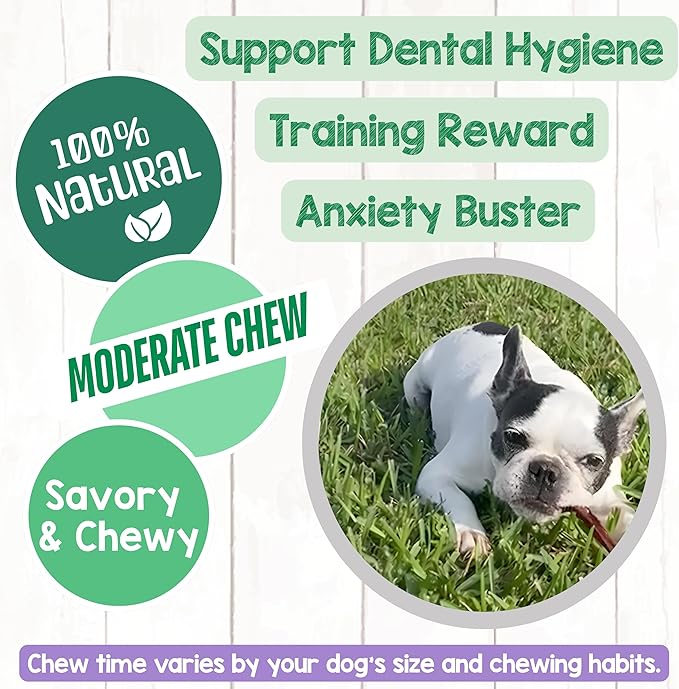 Nature Gnaws Extra Thin Pork Bully Sticks for Small Dogs 5-6" (15 Count) - Long Lasting for Light Chewers and Puppies - Natural Bacon Dog Chew Treats