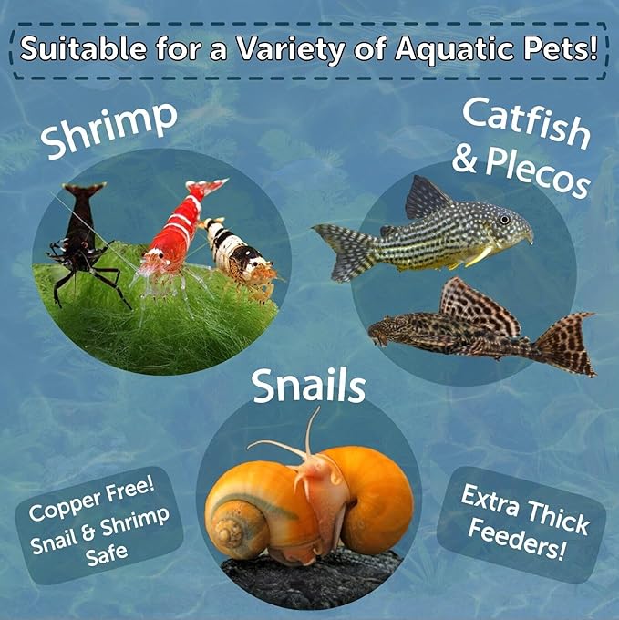Aquatic Foods Inc. Spirulina Enriched Calcium Feeders for Shrimp, Snails, Crabs, Crayfish, Pleco, Catfish, All Tropical Fish…25 Count Bag