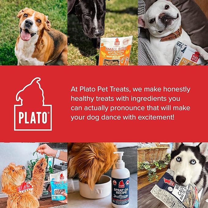 PLATO Thinkers Chicken 10oz