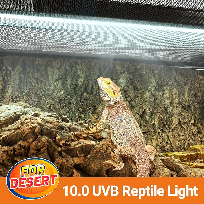 Oiibo T5 HO Reptile Light Fixture UVB Lighting Combo Kit, Reptiles Terrarium Lamp Hood Light Fixture Include UVB 10.0 Desert Reptile Light for Bearded Dragon Gecko Lizard (8W)