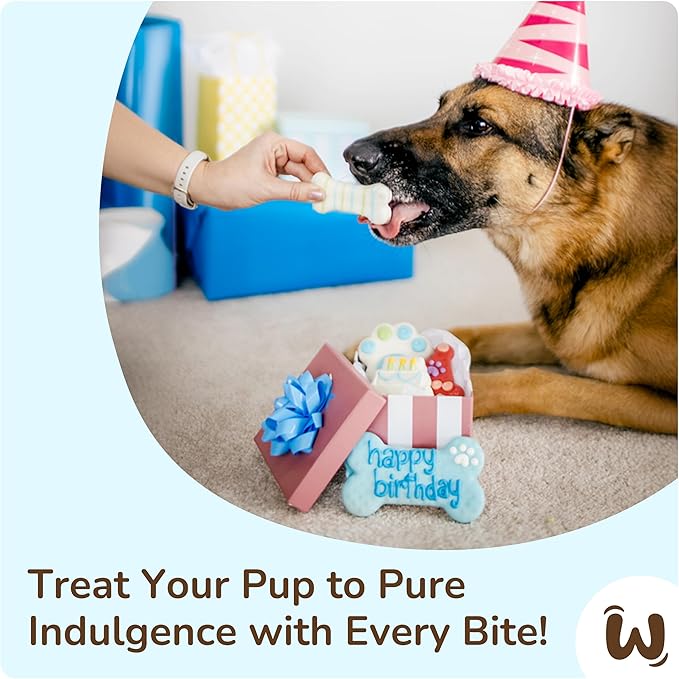 Wufers Birthday Boy Cookie Box | Gifts for Dogs | Gourmet-Decorated Treats | Made with Locally Sourced Ingredients (Blue - Birthday Boy)