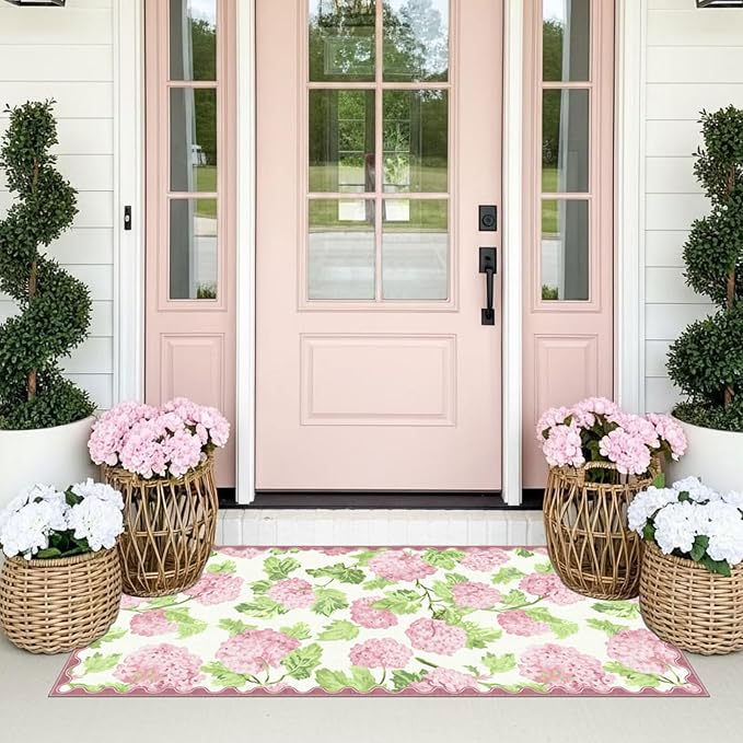 Front Door Mat Indoor Entrance