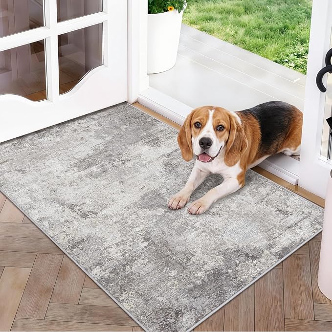 Modern Abstract 2x3 Rug Washable Non-Slip Small Area Rug