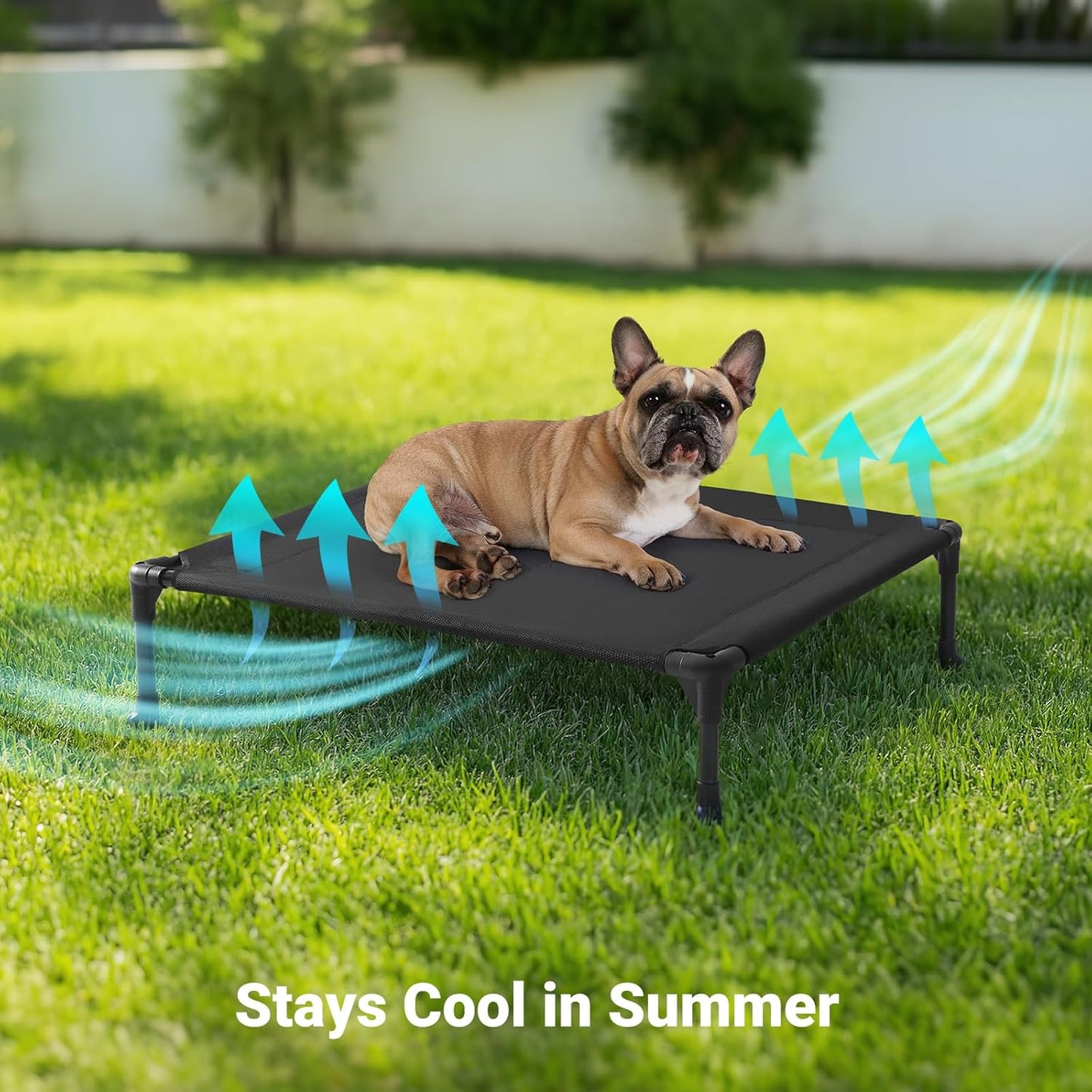 Veehoo Outdoor Elevated Dog Cot Bed, Cooling Raised Pet Bed for Medium Dogs, Washable Breathable Mesh Hammock Bed with No-Slip Feet, Indestructible Ground Off Training Platform Cot-32"x25" Black
