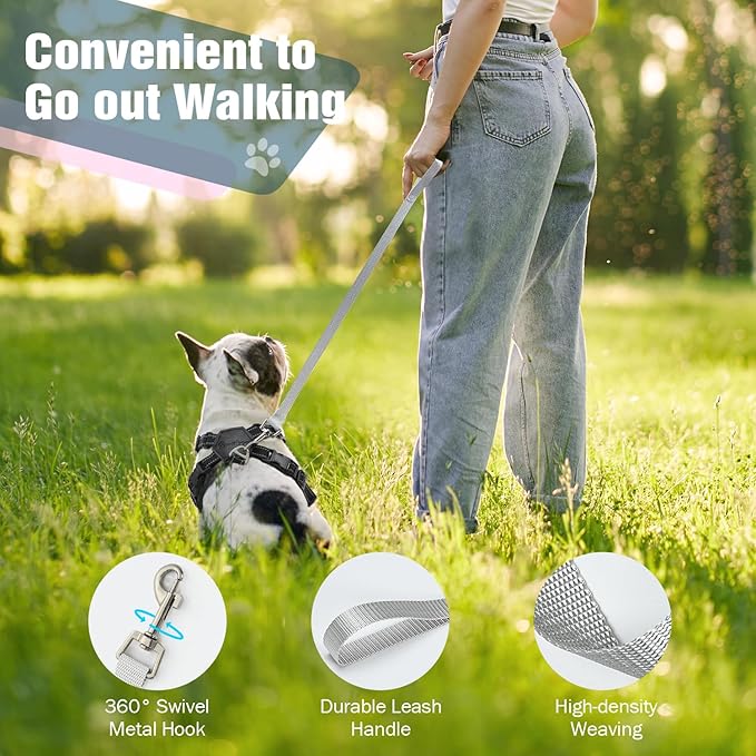 Pawaboo Small Dog Harness and Leash Set, Puppy Harness X-Frame No Pull No Choke, Dog Vest Harness Adjustable for Small Medium Sized Dogs,Soft Breathable Pet Harness for Walking Outing, S, Black Daisy