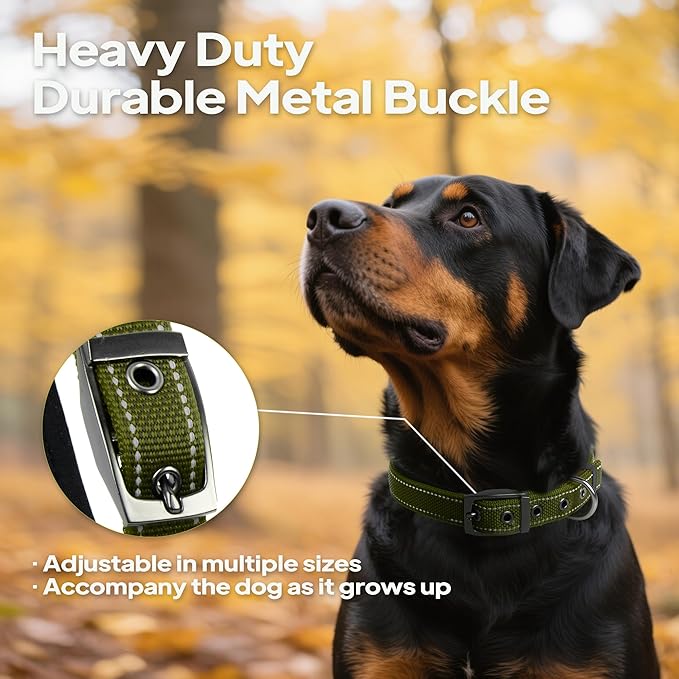 PetiFine Dog Collars for Small Dogs, Neoprene Padded Dog Collar, Reflective Heavy Duty Pet Collars with Durable Metal Belt Buckle for Walking, Green, S