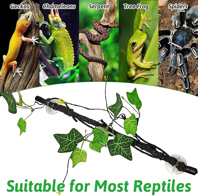 PINVNBY Reptile Corner Branch,2 PCS Flexible Jungle Climbing Vine with Suction Cup Terrarium Plant Decoration for Amphibian Dragons, Snake,Frogs, Chameleons（Green）